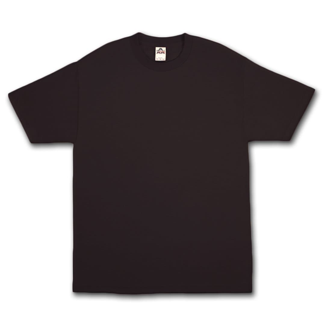 AlStyle Apparel AAA Plain Blank Men's Short Sleeve T-Shirt Style 1301 Crew Tee