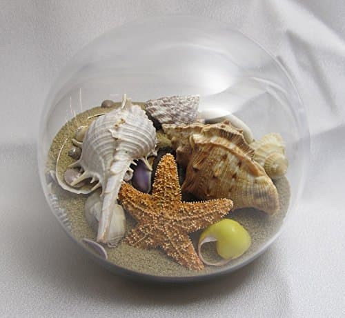 Sand & Shell Sandglobe Paperweight 4-inch Off-White Sand
