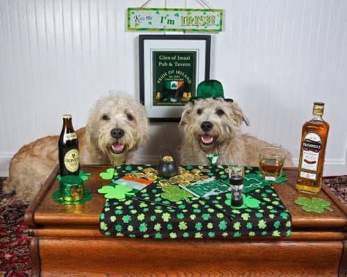 Arome Du Vin. The Aerator that Bonds Oxygen to Whiskey, Water, Wine, and Cold Coffee for a Smoother Taste.