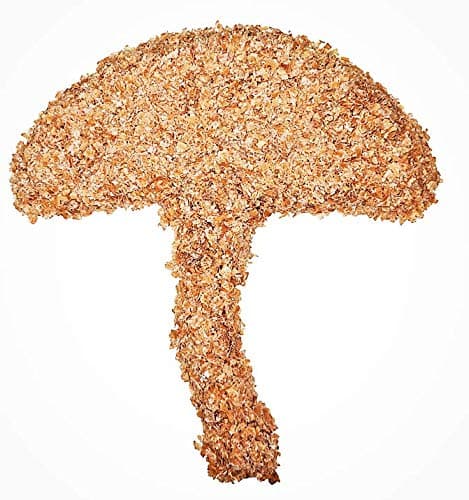Wheat Bran Unprocessed 100% Natural Coarse Non-GMO | Mushroom Mycelium Mycology Growing Bulk Substrate | Great for Shiitakes! | 4 Pounds