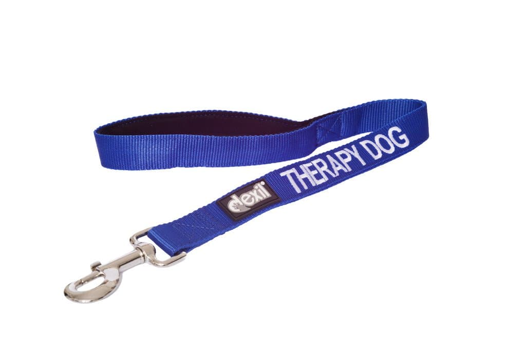 Dexil Limited Therapy Blue Color Coded 2 4 6 Foot Padded Dog Leash - Prevents Accidents by Warning Others in Advance (2ft)