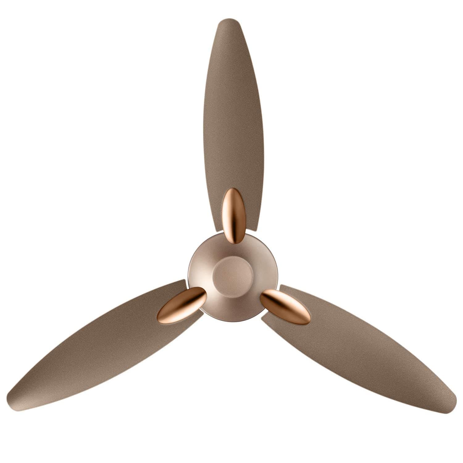 Bloom Daffodil Goodbye Dust Ceiling Fan 1250mm IN_75585 Standard Sparkle Gold & Brown