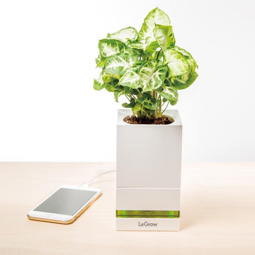 LeGrow Indoor Herb Garden Kit Smart Growing System Planter Friendly Workplace - Quick Charger USB Pot Power Bank for Phone with Flower Pot for Home Office Decoration