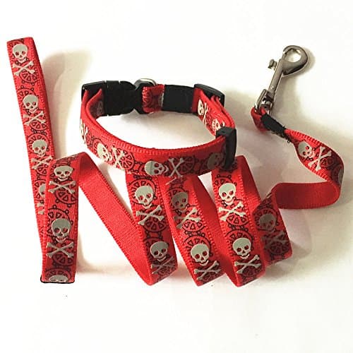 Joopet Fashion Classic Skull Printed Basic Nylon Pet Dog Collars leash Made For Puppy Pet Leads & collars Set Available Red (S)