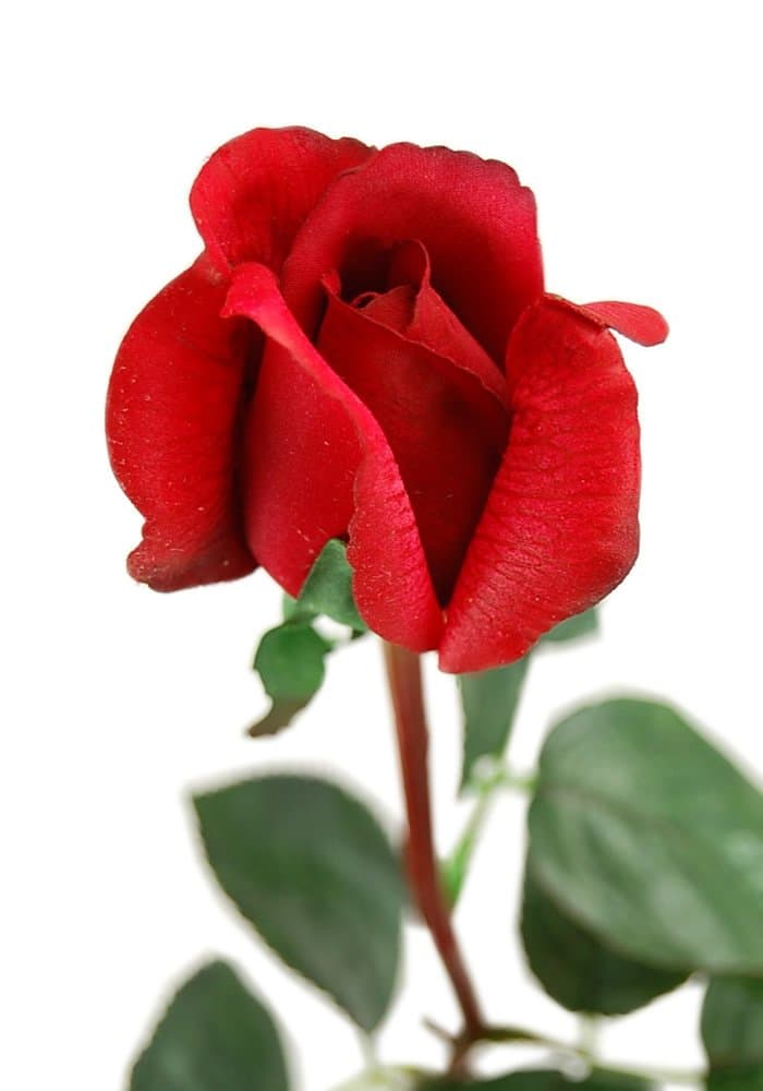 Artificial Rose Bud with Long Stem 27" - Red Color - Real Touch Silk Fake Flower for Wedding Bouquets, Table Arrangements, More (1)