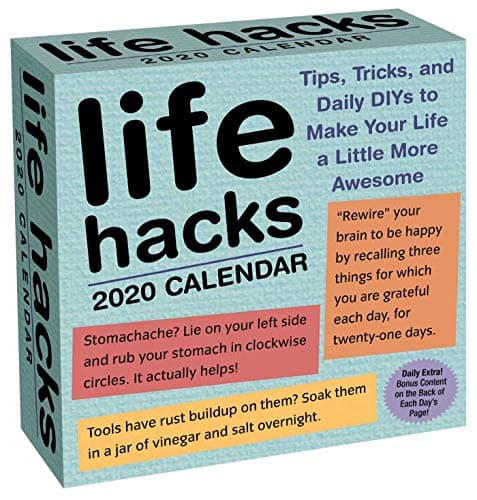 Life Hacks 2020 Day-to-Day Calendar