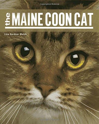 Down East Books The Maine Coon Cat