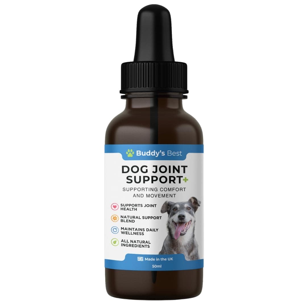 BUDDY'S BEST Dog Joint Support Drops | 50ml | Supports Healthy Mobility & Flexibility | Natural Ingredients for Overall Well-Being | Easy-to-Use Liquid Supplement for Dogs of All Breeds