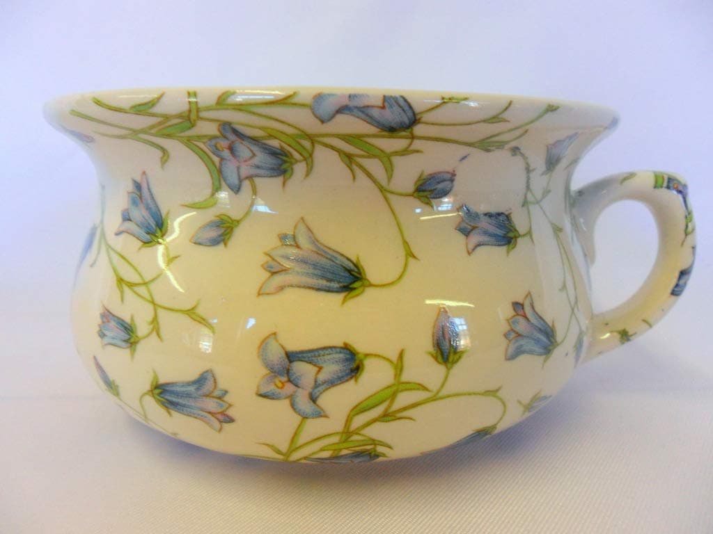 Heron Cross Pottery Decorative harebell design chamber pot planter