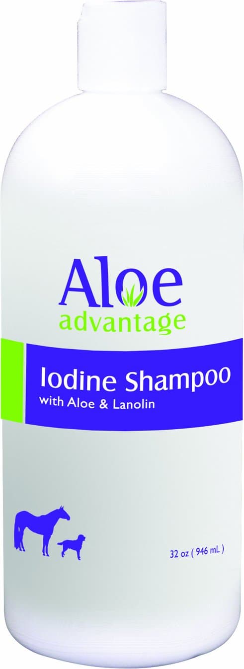 Aloe Advantage Aloe Iodine Shampoo, 32-Ounce