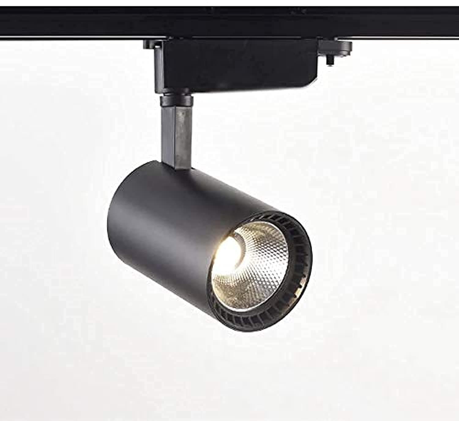 CITRA 30W Extra Bright Big LED Track Ceiling Spot Focus Black Body Light (Natural White 4000K,Metal)