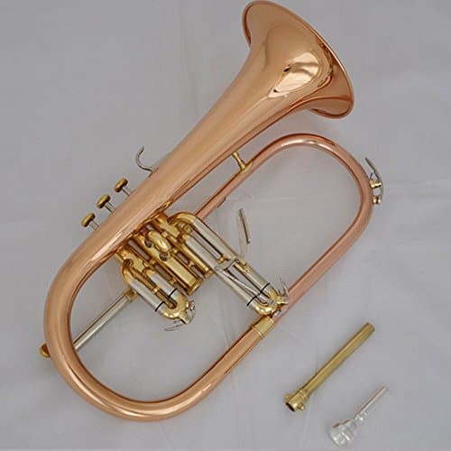 CH® Flugelhorn Professional Abalone Shell Rose Brass Monel Valve Bb Horn With Case