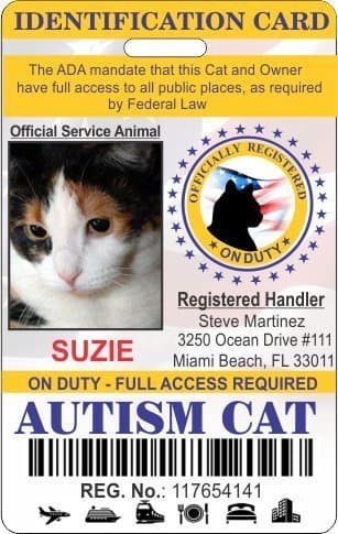 Holographic Autism Service Cat ID Badge