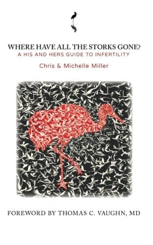 Where Have All the Storks Gone?: A His and Hers Guide to Infertility Paperback – August 19, 2014