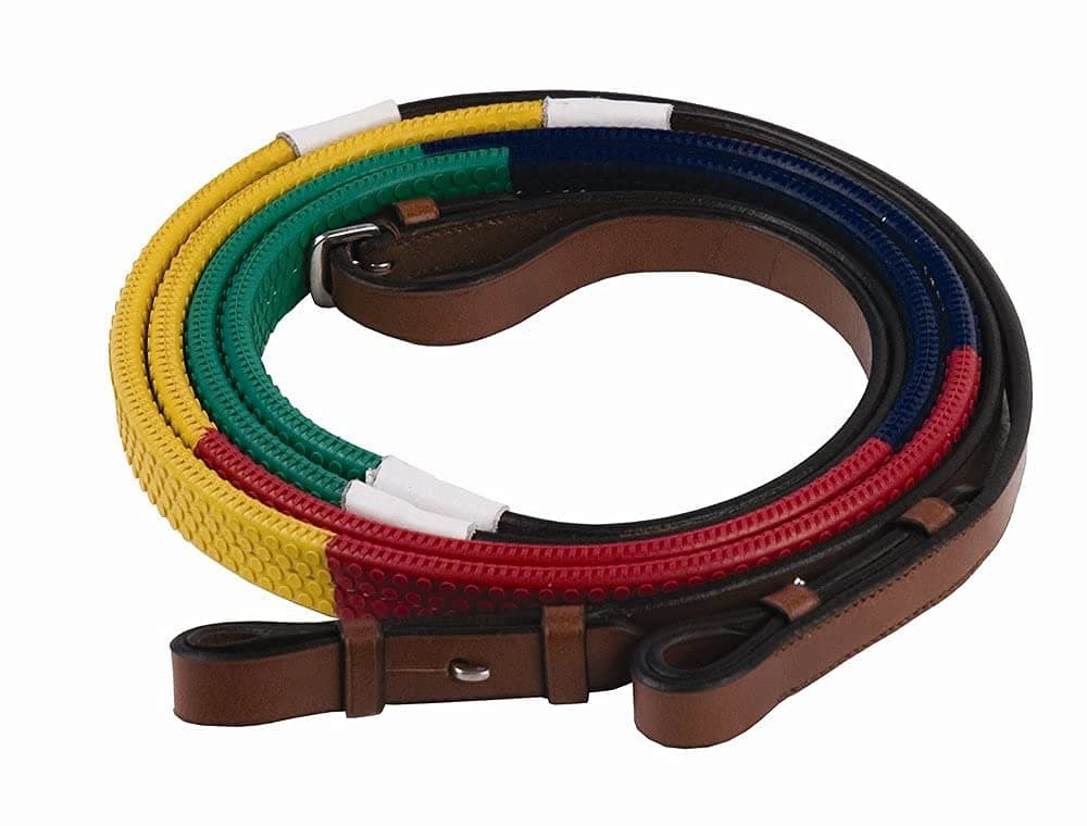 Henri de Rivel Training REINS - Rainbow