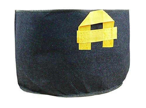 VegieMaster 10 Pack -100 Gallon Soft-Sided Fabric Aeration Plant Container Dirt Pot Grow Bag, Black with Strap Handles