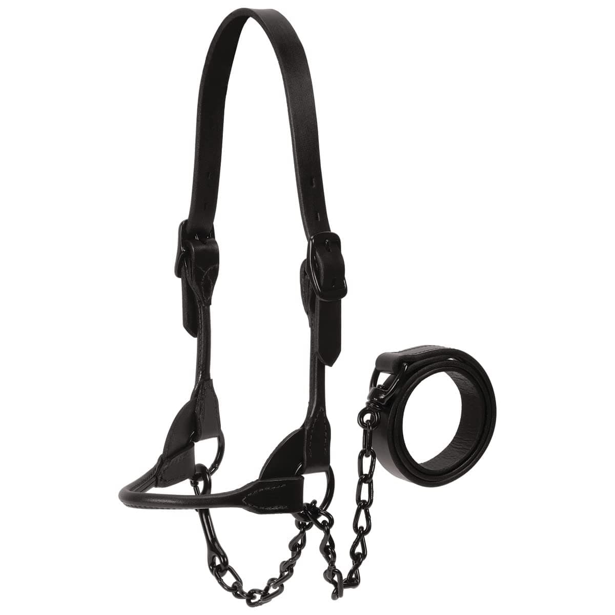 Weaver Leather Livestock Black Magic Show Halter, Large