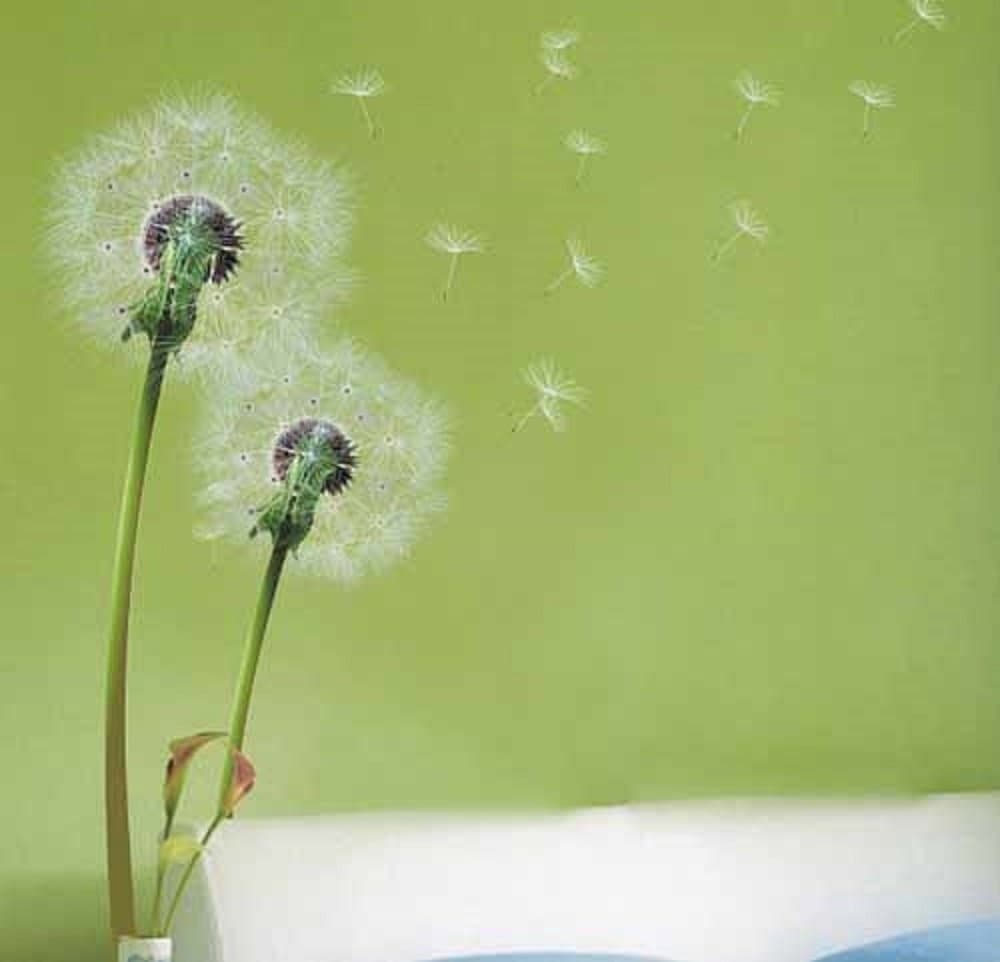 WALPLUSWall Stickers Flying Dandelion Stylish Grass Removable Self-Adhesive Mural Art Decals Vinyl Home Decoration DIY Living Bedroom Décor Wallpaper Kids Room Gift, Multi-Colour