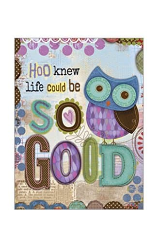 Legacy Publishing Group Note Cards, Hoo Knew (NCD13429)