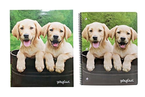 Cute Puppy or Kitten Back to School Set – Pocket Folder and Composition Notebook (Golden Retriever Pups)