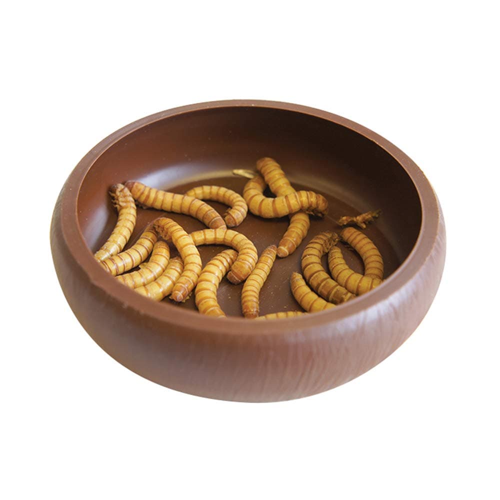 Komodo Mealworm Dish for Reptiles Durable Smooth Sides Easy Clean Food Bowl Deep Design Stable Base Outdoor Indoor Lightweight Hygienic Pet Feeder