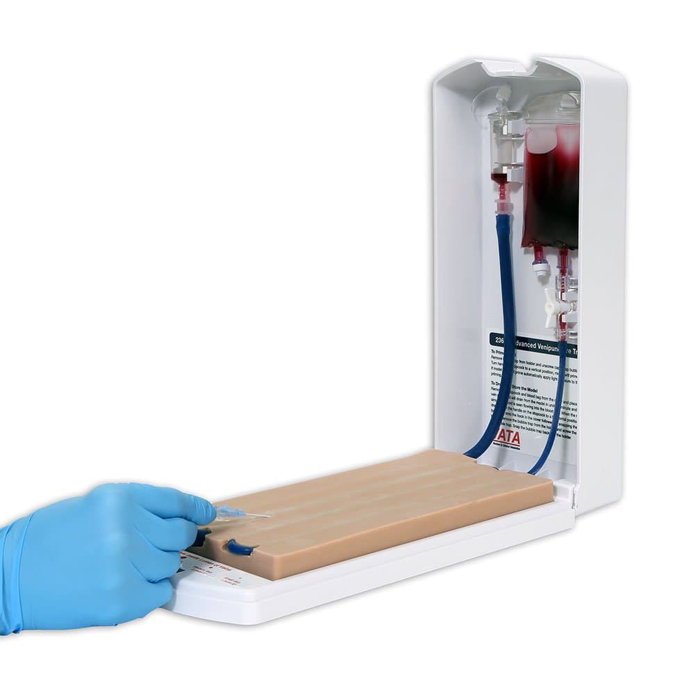 Advanced Four-Vein Venipuncture Training Aid - Dermalike II Latex Free