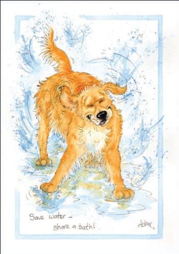 Save water - share a bath - Humorous Dog themed greeting card