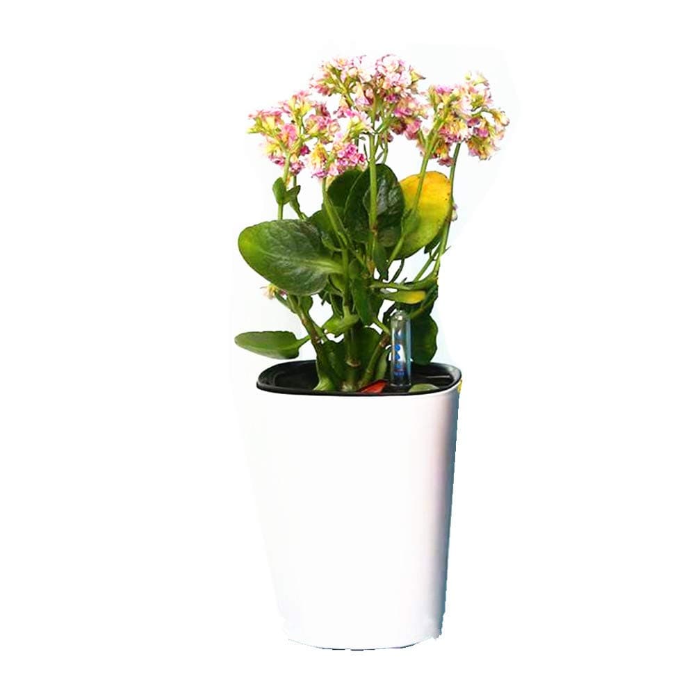 LeoyoubeiH 7 inch Plastic Self Watering Planter with Water Level Indicator White Set of 1, Modern Decorative Planter Pot for All House Plants, Flowers, Herbs, African Violets, Succulents