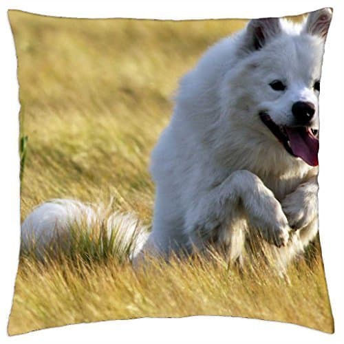 Kobalter Runing dog - Throw Pillow Cover Case (16