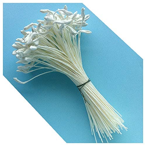 Medium Lily & Peony Flower Stamens (White)