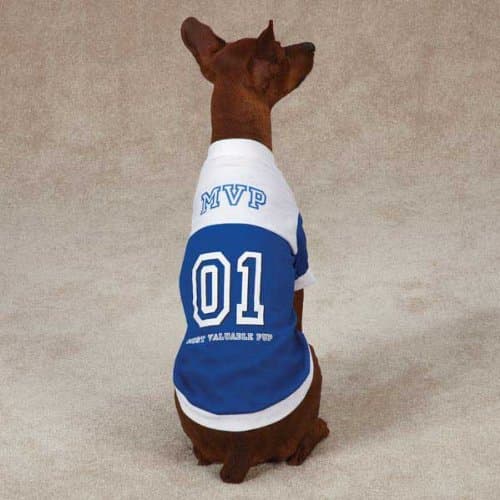 DogIsGood Halo Dog Tee, Large, Pink