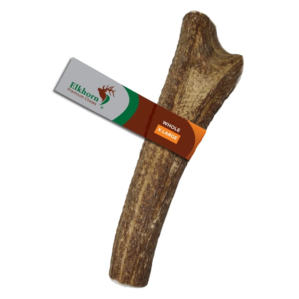 X Large Whole Single Pack (for 50-90 lb Dogs) Premium Grade Elk Antler for Dogs (1 Piece) Sourced in the USA