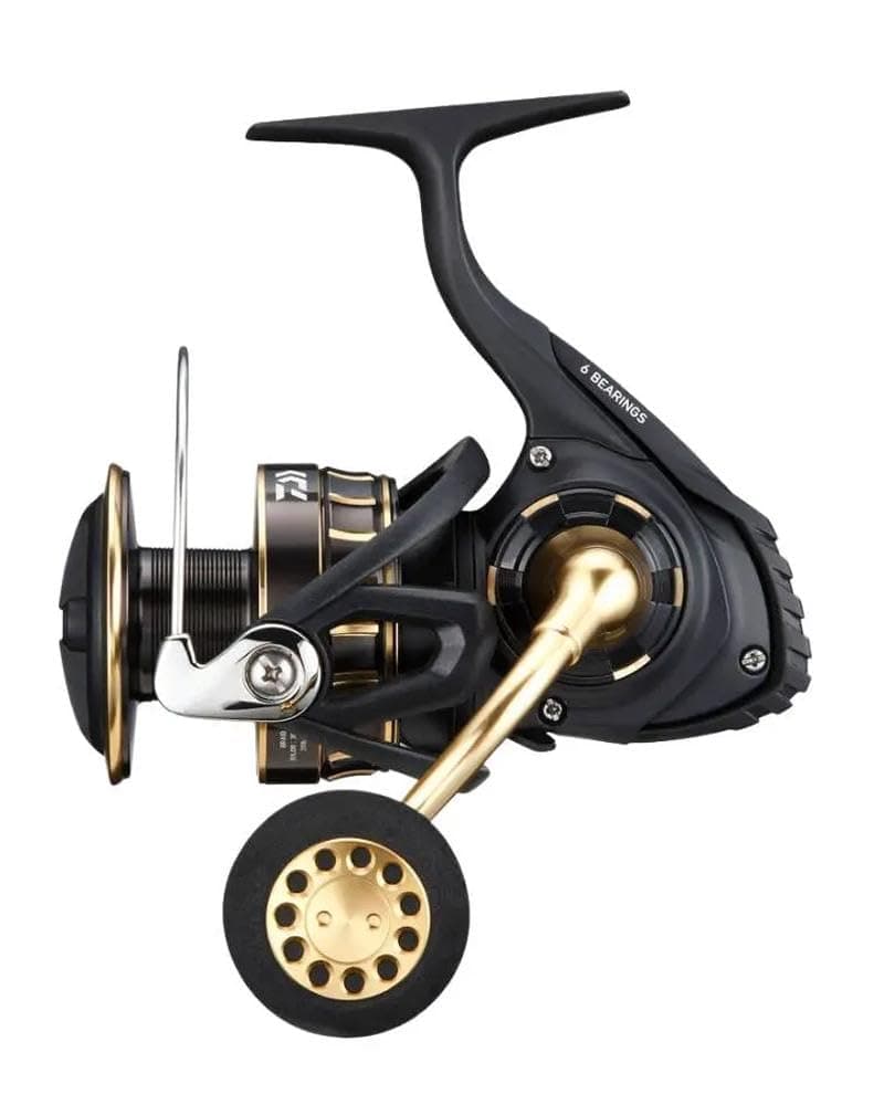 Spinning Reel 23BG SW 4000-18000 Various (2023 Model)