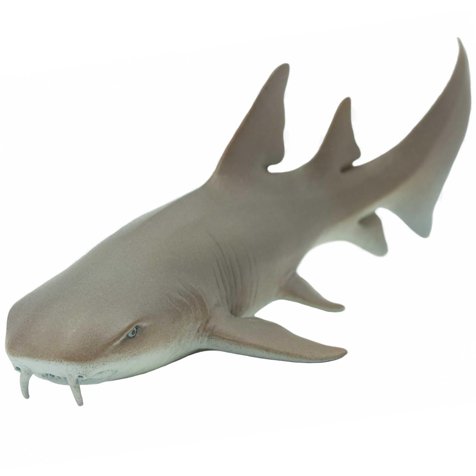 Safari S200629 Nurse Shark - Silver