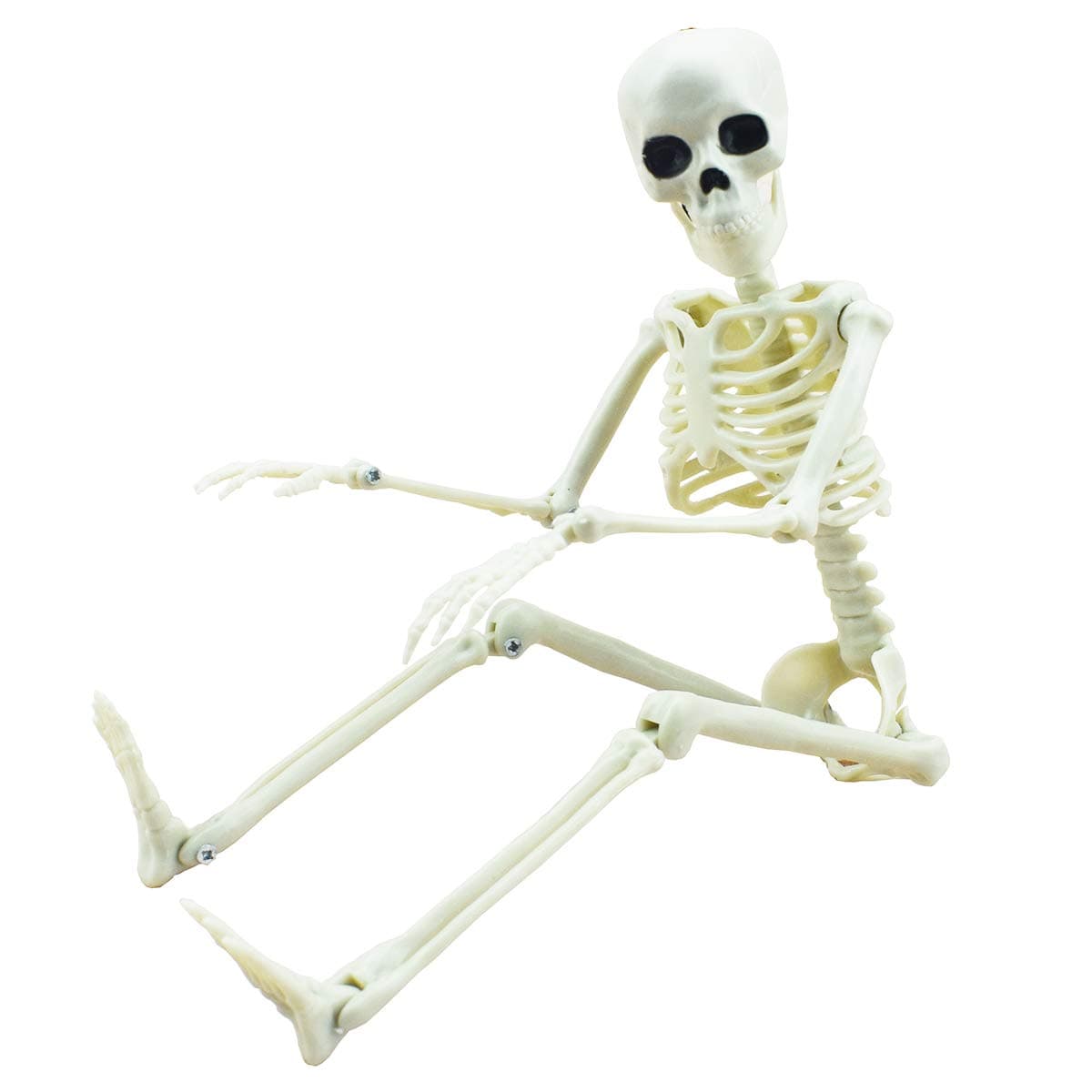 XONOR 16" Posable Halloween Skeleton- Full Body Halloween Skeleton with Movable Joints for Haunted House Props Decorations