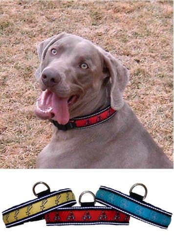 PolyBrite LED Illuminated Dog Collar- Fits Neck 22-26" - Red