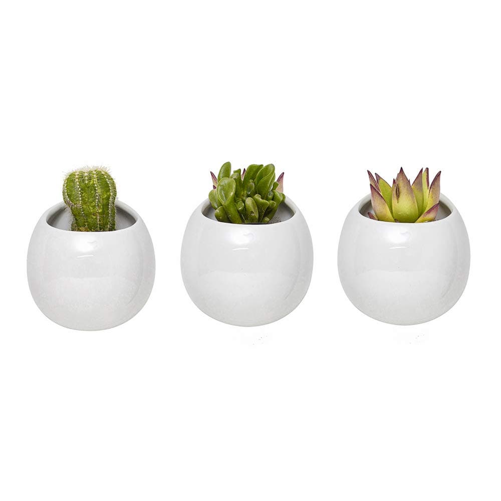Modern Wall Mounted Planter Round Ceramic Hanging Planter Succulent Air Plant Flower Pot Wall Decor, Set of 3 (Plants NOT Included)