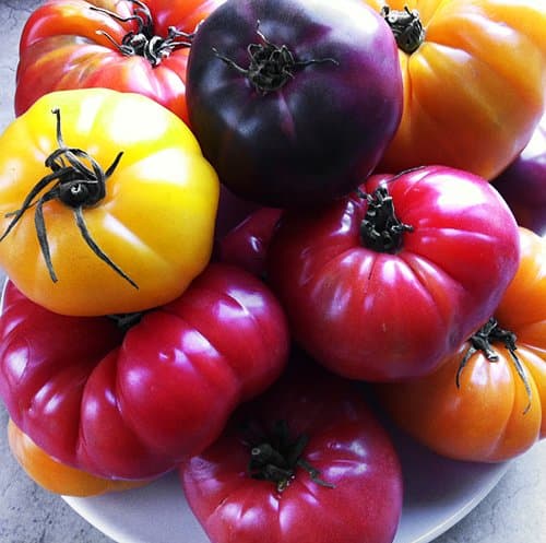 This is A Mix 30 Deluxe Tomato Seeds, Mix of 16 Varieties, Heirloom Non GMO, Indeterminate, Old German, Chocolate Stripes, Ukrainian Purple, Amish Paste, from USA Solanum lycopersicum