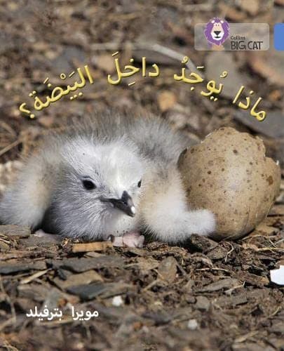 What's in the Egg?: Level 4 (Collins Big Cat Arabic Reading Programme)