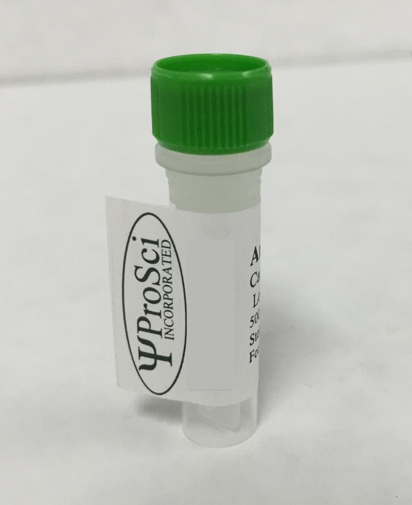 GH1 / Growth Hormone Antibody, 0.05 mL
