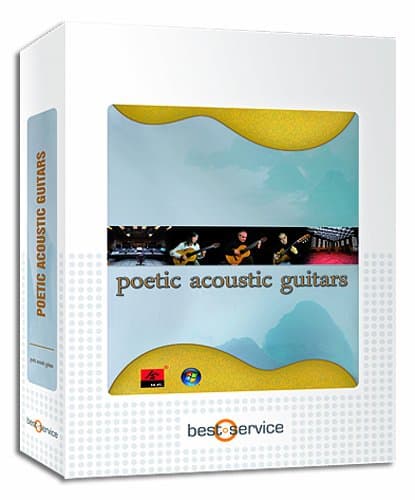 Best Service Poetic Acoustic Guitars