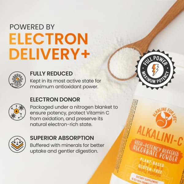 Alkalini-C Vitamin C Powder Supplement, Potent Natural L-Ascorbate Vit C Powder 1500mg, Corn-Free Non-GMO VIT C, Buffered Vitamin C Enhanced Absorption, 100% Pure Form, Immune Support Supplement 16oz