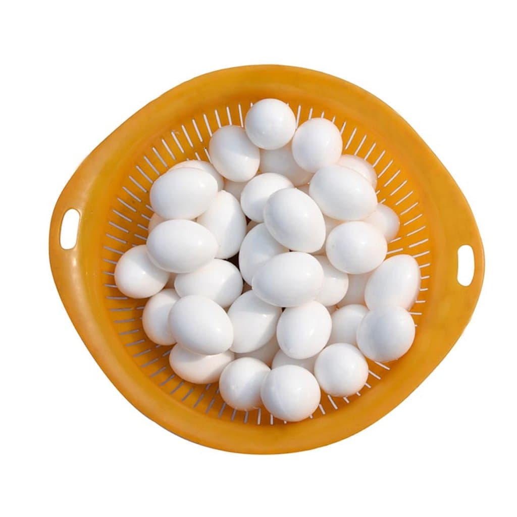 Tandou 5pcs/lot Pigeon False Eggs Filled Plastic Simulation For Hatch Breeding Supplies