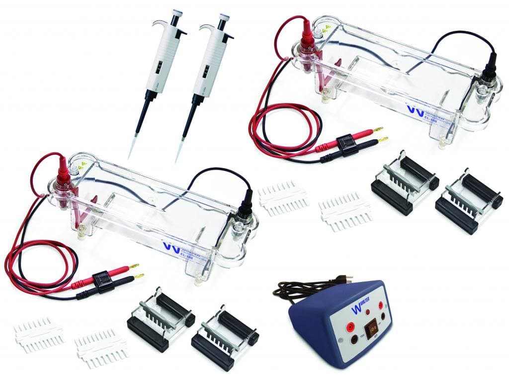 Walter EL-200-16 Electrophoresis Lab Set, Supports 16 Students
