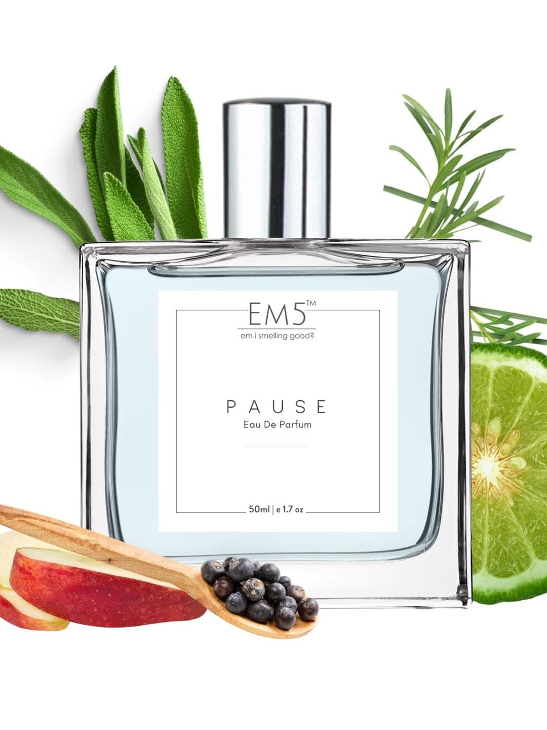 - EM5 Pause Perfume for Men Strong and Long Lasting Spray | Aromatic Fresh Amber Fragrance | Eau de Parfum (EDP) | Luxury Gift for Him