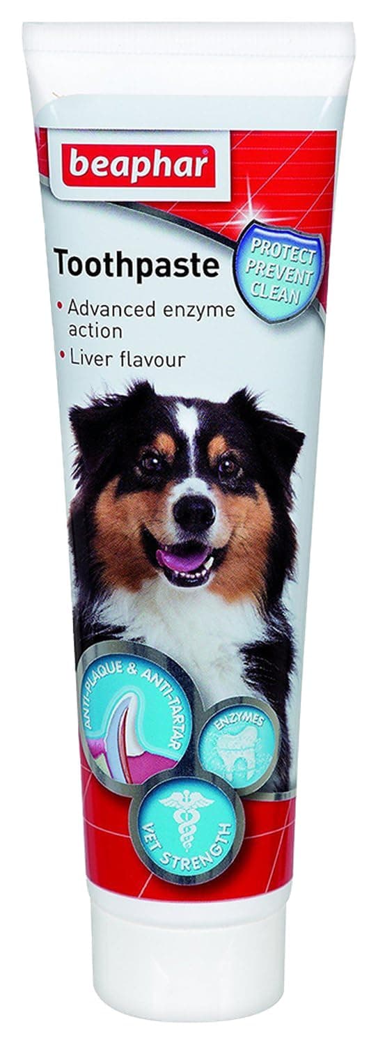 Beaphar Toothpaste for Dogs and Cats, (100 G, Tartar, Plaque, Clean)