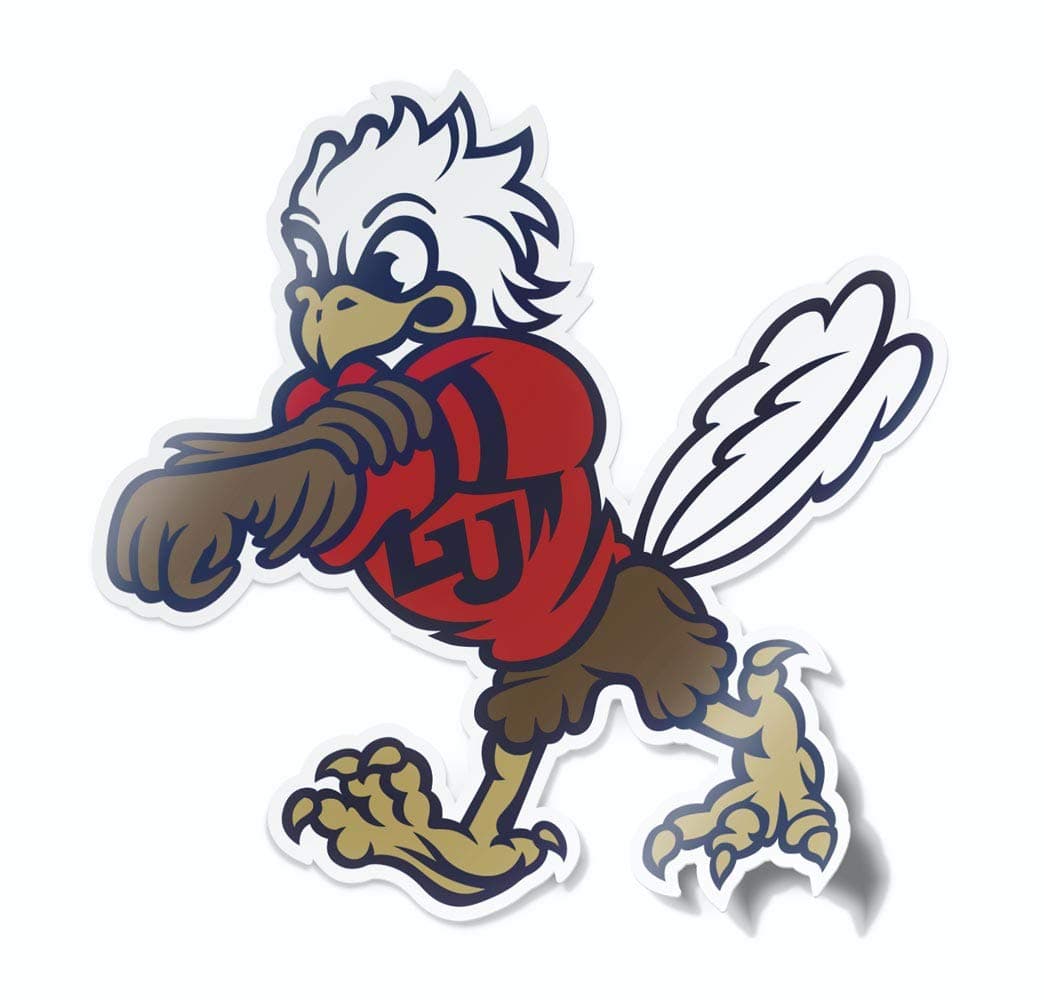 NCAA Vintage Popular Car Decals from