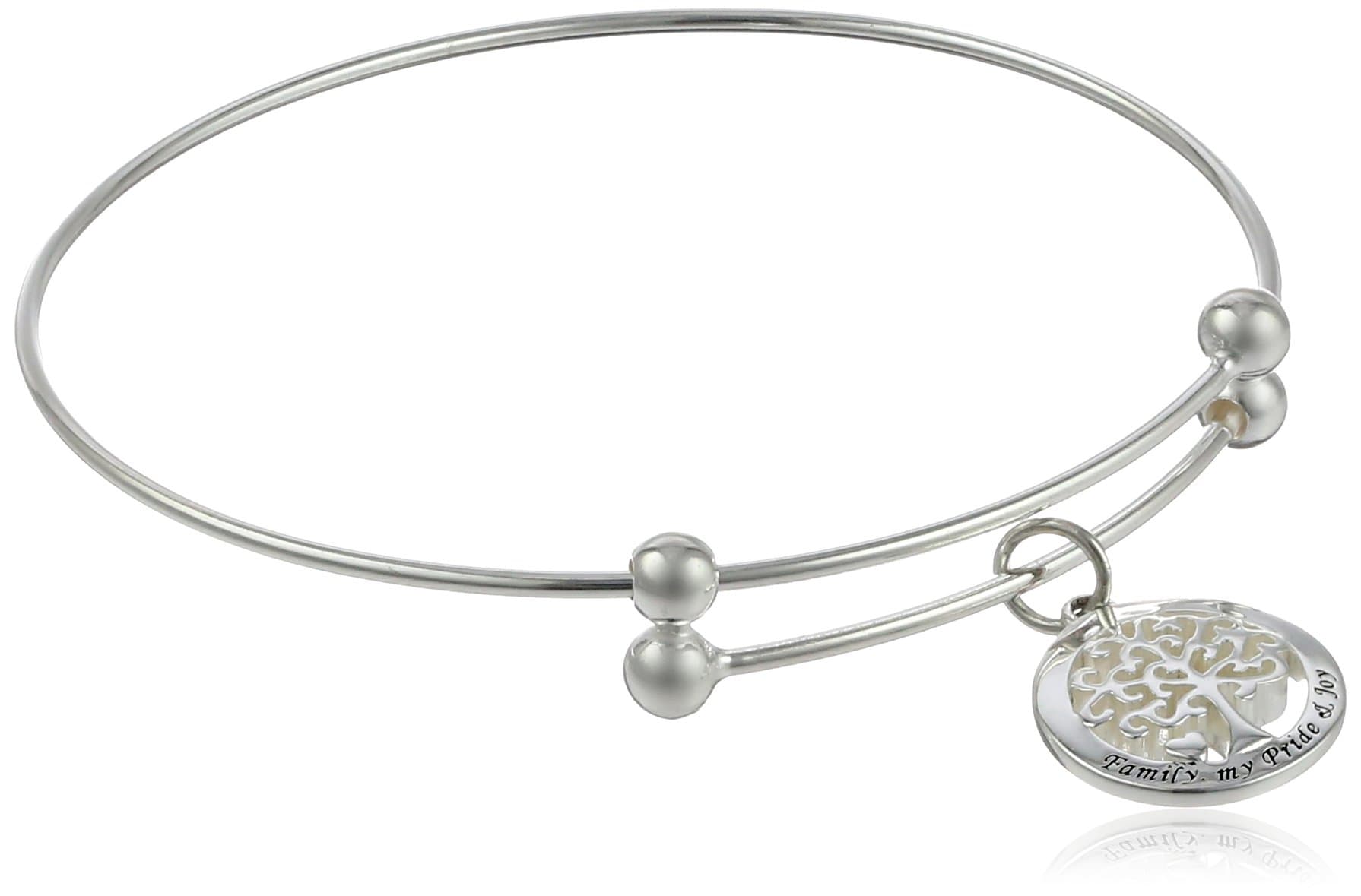 Sterling Silver "Family My Pride & Joy" Tree Charm Adjustable Bracelet