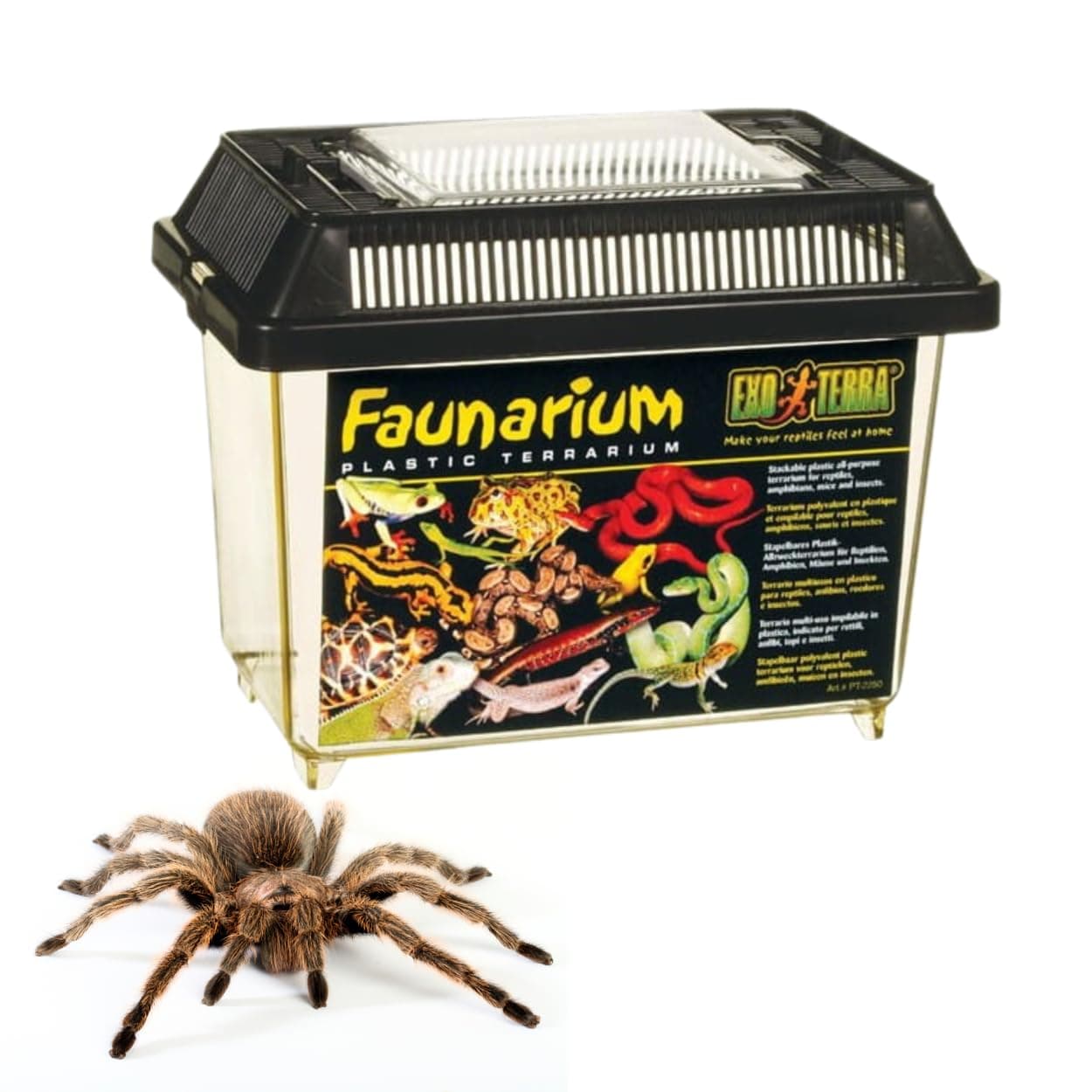 Exo Terra Standard Faunarium Small