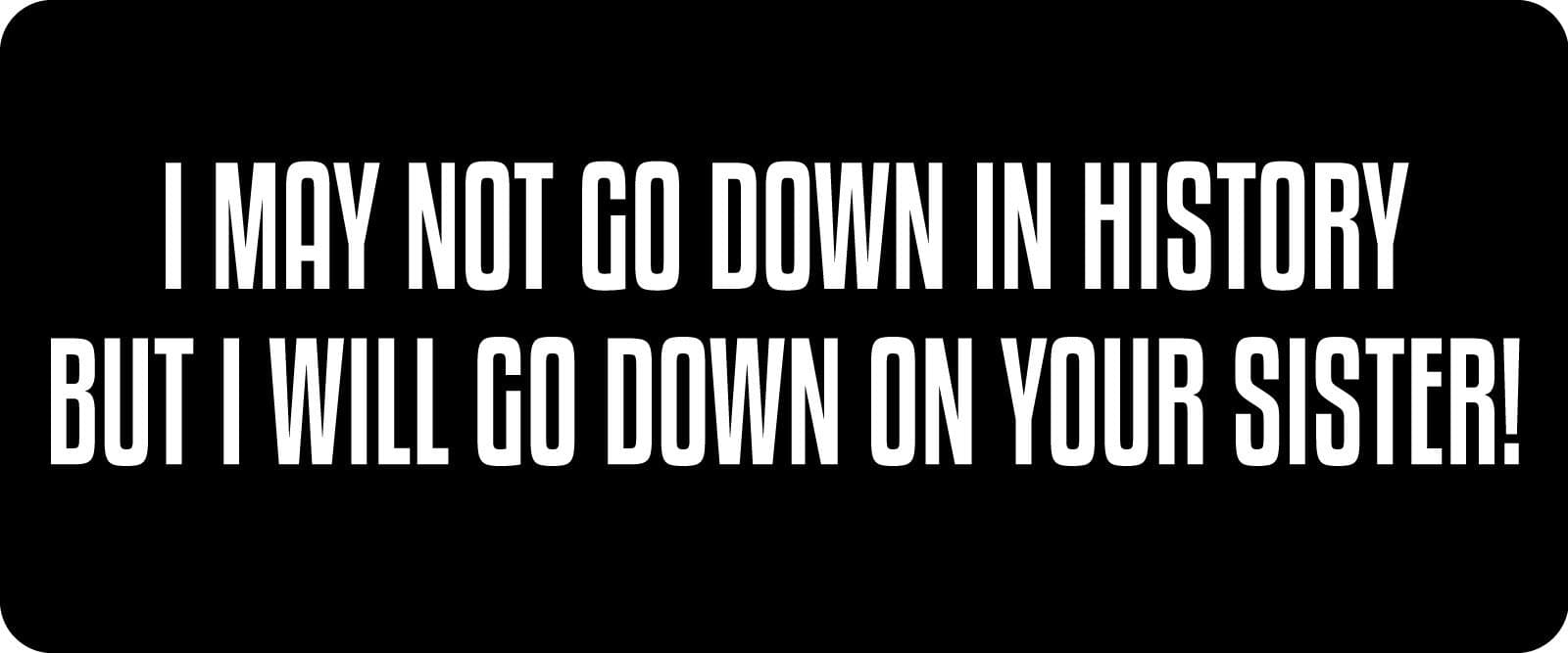 1080 Graphics 3 - I May Not Go Down in History Hard Hat/Biker Helmet Sticker BS 1272